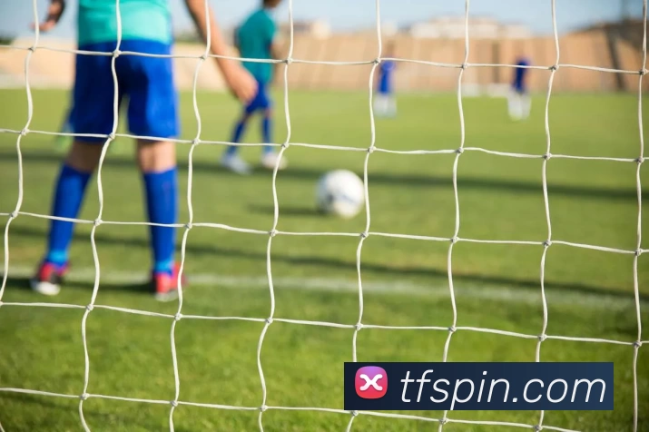 天富娱乐官网平台生态图