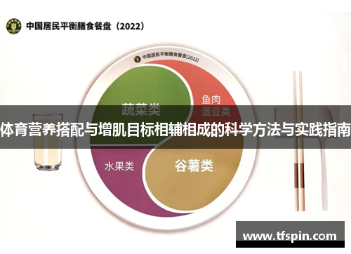 体育营养搭配与增肌目标相辅相成的科学方法与实践指南