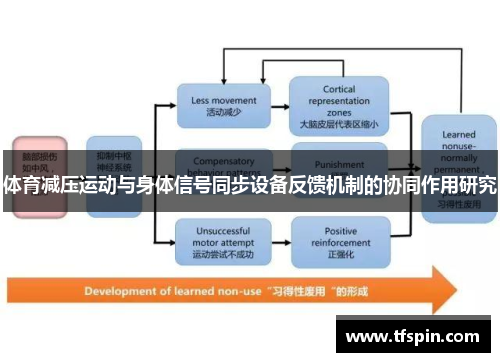 体育减压运动与身体信号同步设备反馈机制的协同作用研究